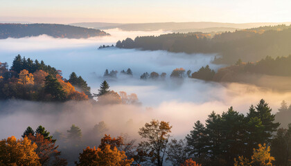 Fototapeta premium Stunning autumn forest landscape with dreamy fog rolling through the trees, creating a magical and peaceful scene perfect for travel and nature themes