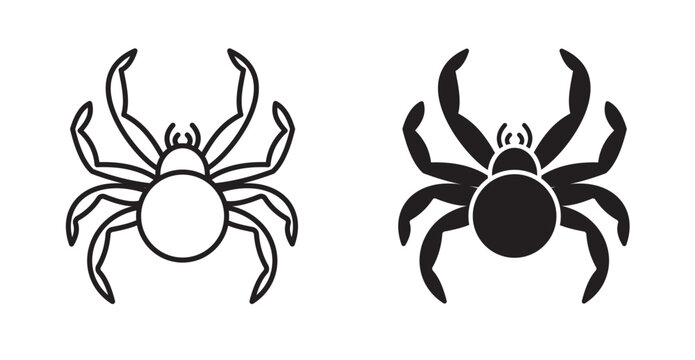 Spider icon