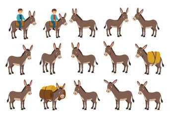 Obraz premium Collection of Adorable Donkey Illustrations for Creative Projects