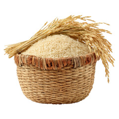 Close-up shot of a woven basket filled with white rice and golden rice stalks.