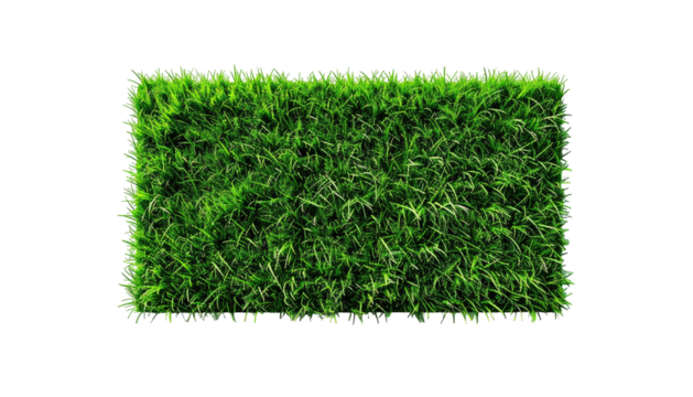 Rectangle of dense, vibrant green grass against black background