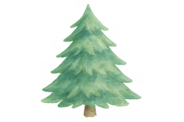 Watercolor christmas tree preparing for winter holiday celebrations on transparent background