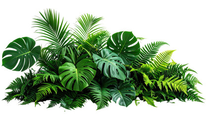 Lush grouping of tropical green leaves against dark background