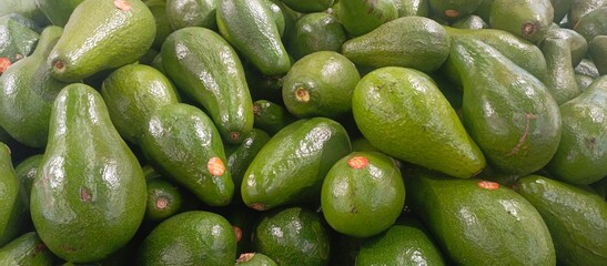 fresh cucumbers in market