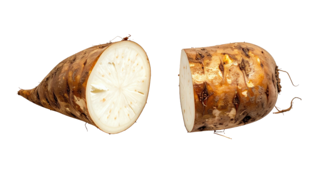 Cut yacon root, displaying light interior and brown outer skin