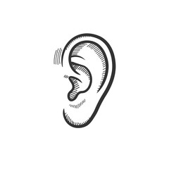 Hand-drawn Sketch of a Human Ear