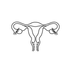 Female Reproductive System Line Art