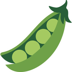 Open Green Pea Pod with Four Round Peas Inside Against a Transparent Background Detailed Vegetable Illustration Healthy Food Ingredient