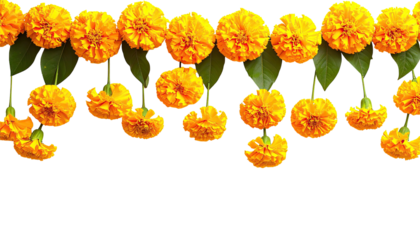 Marigold garlands, top border, vivid orange against black backdrop