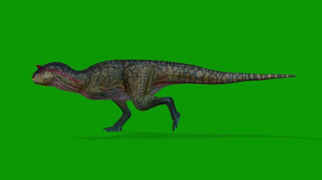 3D Carnotaurus Dinosaur Animation Run Fast Left Side