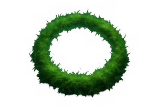 Green nature wreath decorating and framing element on transparent background, symbolizing growth and ecology