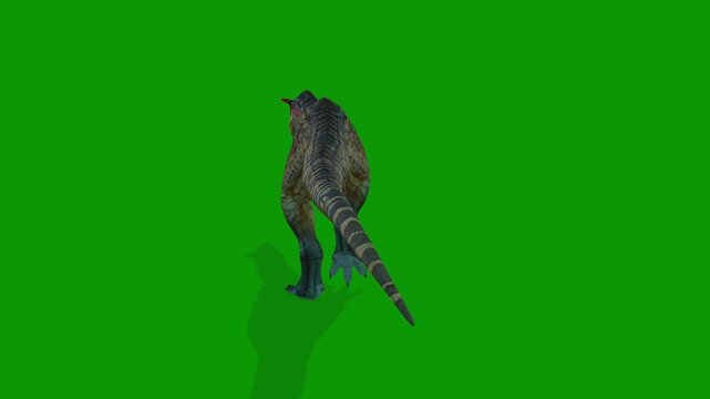 3D Carnotaurus Dinosaur Animation Walking Back Side