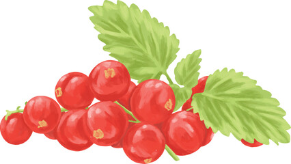 Cranberry Botanical Digital Painting | Realistic Red Berry Illustration for Food Art