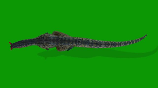 3D Carnotaurus Dinosaur Animation Walking Scene From Sky