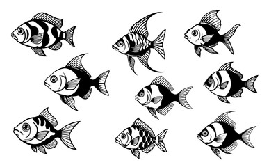 Set of tropical fish in black and white vector style, detailed aquarium species illustrations, marine design, underwater wildlife art, fish vector, tropical fish, aquarium illustration