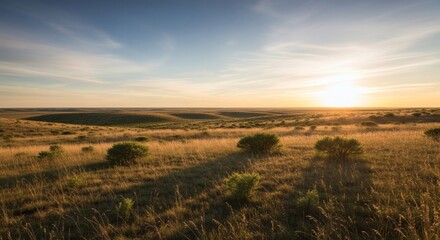Expansive golden prairie landscape, sun low on the horizon, with blue sky above