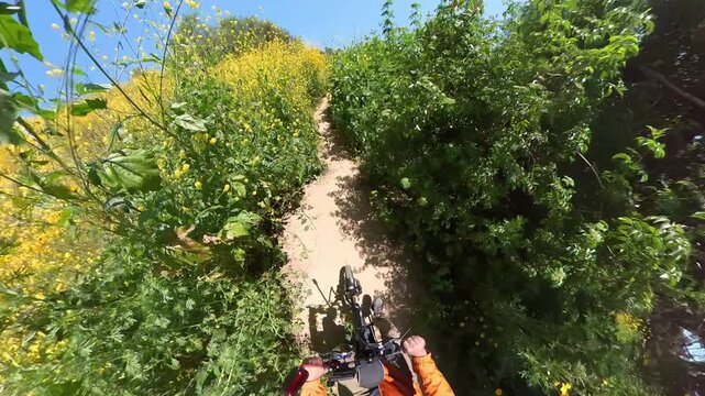 California Super Bloom Wild Flowers Mountain Bike POV 03.mp4