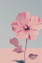 cover design for poster frame book notebook dairy flyer brochure print 