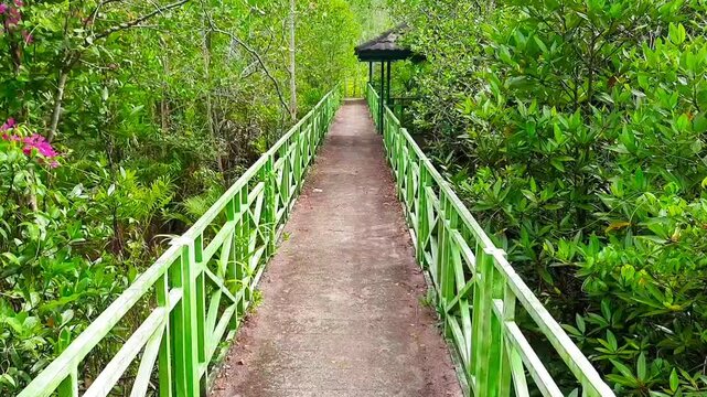 Concrete bridge with green railings in Apar Mangrove Park, Pariaman, West Sumatra. A scenic walkway for visitors exploring the natural mangrove forest area