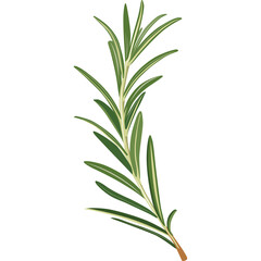 Single Sprig Of Rosemary Herb With Green Leaves And A Transparent Background Detailed Pixel Art Illustration