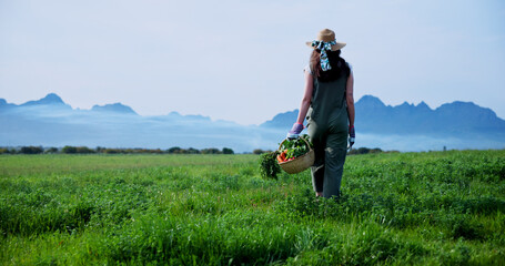 Farm, walking and back of woman with vegetables for growth, healthy crops and harvest. Agriculture,...