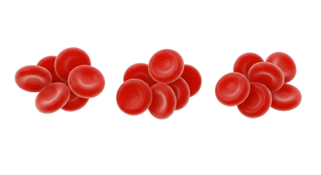 Three clusters of red blood cells against a black background erythrocytes biology