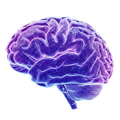Glowing purple and blue digital brain with network connections on black human brain technology