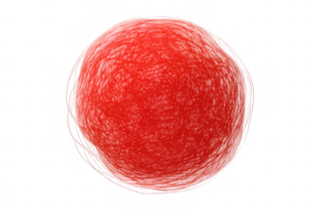 Red blood cell dividing, representing microbiology, medicine, infection, virus, immune system and disease concept on transparent background