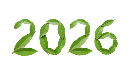 The year two thousand and twenty six made out of green leaves on transparent background