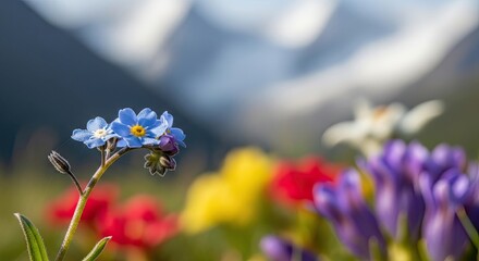 Vibrant Alpine Meadow with Forget-Me-Nots and Colorful Wildflowers Under a Bright Sky.