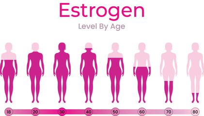 Estrogen Levels Throughout a Woman's Life by Age