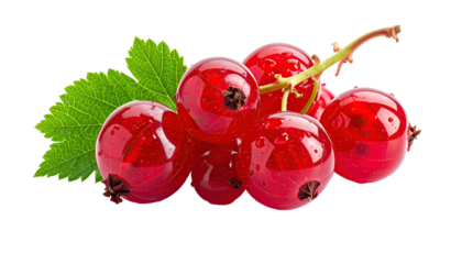 Glossy red currants clustered with stem, leaf