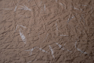 Brown Handmade Paper Texture with Fibers