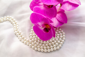 The branch of purple orchids on white fabric background
