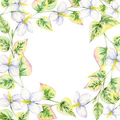 Watercolor clipart wreath of white flowers with variegated pink and green leaves, hand drawn. Excellent for invitations, logos, cards, fabric designs, and personalized decorative artwork