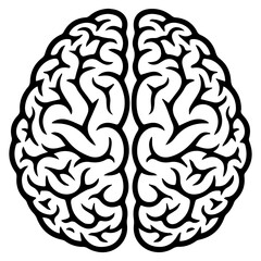 Brain Silhouette Black Human Organ Illustration for Medical and Anatomy Education PNG