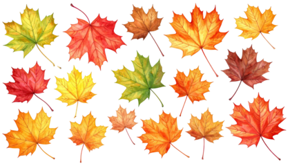 Watercolor autumn maple leaf assortment, isolated on black ground