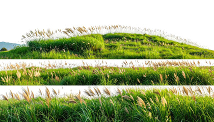 Verdant grassy hill topped with plumes under a dark sky