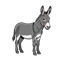 Obraz premium Solid Gray Donkey Standing Alone and Isolated on a Clean White Background Stock Image