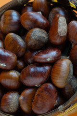 Fresh chestnuts, close-up. Vertical shot.
