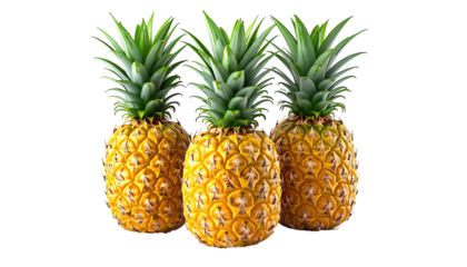 Three ripe pineapples with spiky leaves on black