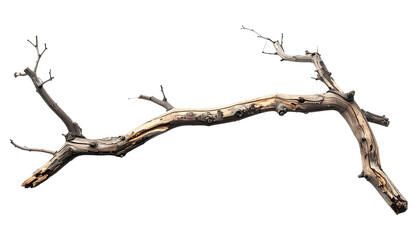 Weathered, gnarled branch isolated on black, twisted