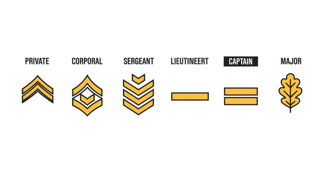 Military ranks insignia set depicting hierarchical structure and officer progression levels