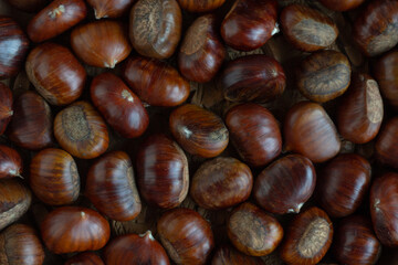Fresh chestnuts, close-up. Horizontal shot.