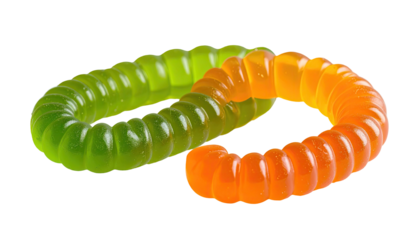 Curled gelatinous worm with segmented halves, green/orange