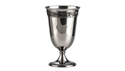 Elegant silver goblet with ornate design against a dark background