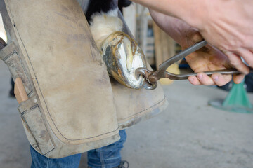 a man farrier at work