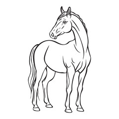 Black silhouette vector illustration of a running horse, isolated on white