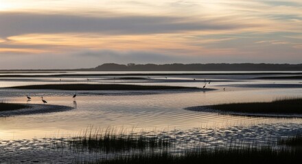 Coastal marsh at dusk, featuring reflective water, birds, and an overcast sky