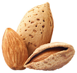 Close-up of almonds isolated